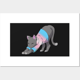 Trans cat stretching Posters and Art